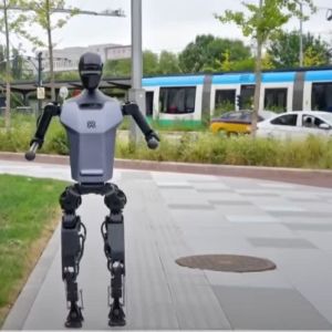 X-Humanoid