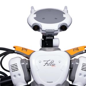 Kawada Robotics