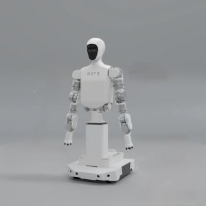 Borg Robotics