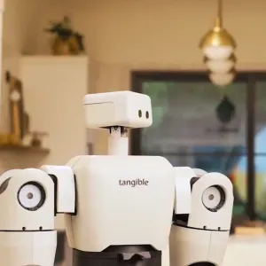 Tangible Robots