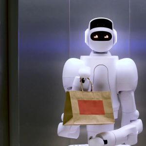 Aeolus Robotics