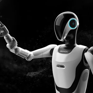 Daimon Robotics