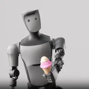 ROBROS