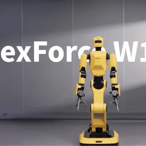 Dex Force