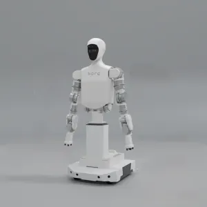 Borg Robotics