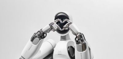 WIRobotics - Humanoid manufacturer