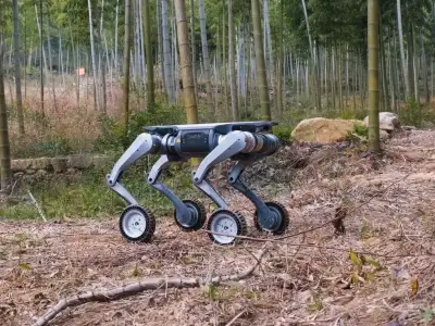 Lynx
