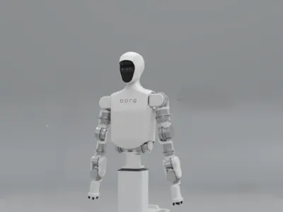 Borg Robotics - Manufacturer of innovative robot models