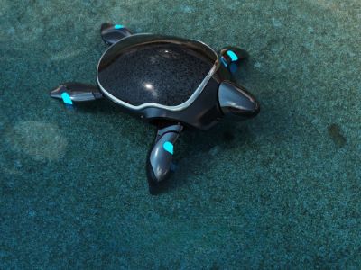 View RoboTurtle specifications and details RoboTurtle - BeatBots robot model