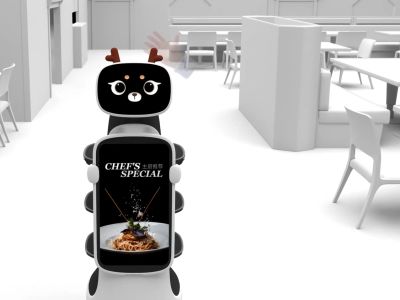 DINERBOT T10