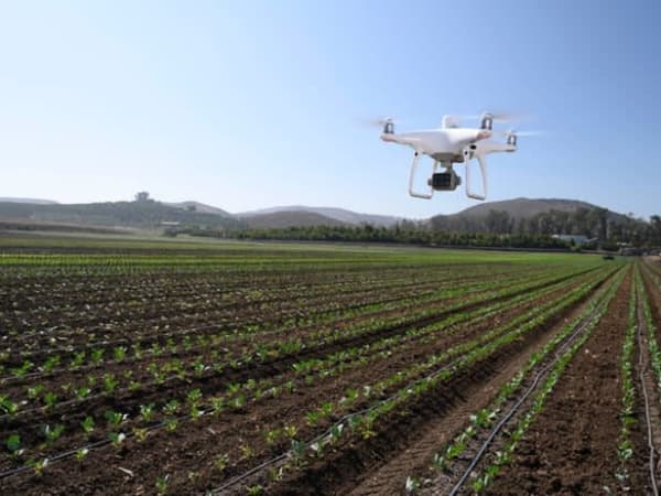 DJI P4 Multispectral 4