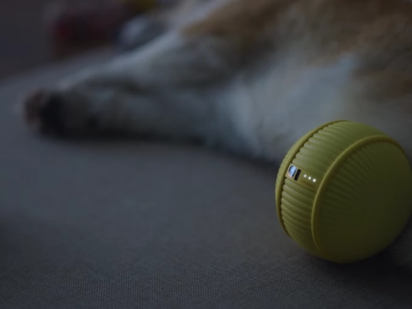 Samsung Ballie 3