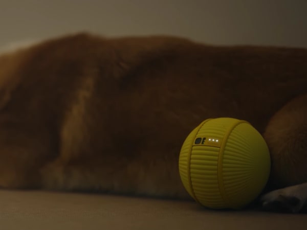 Samsung Ballie 8
