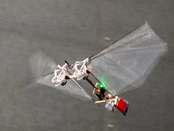 DelFly Nimble 6