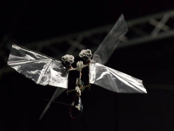 DelFly Nimble 2
