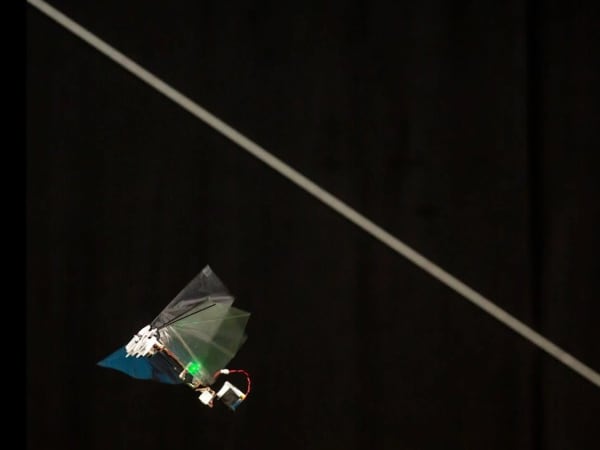DelFly Nimble 7