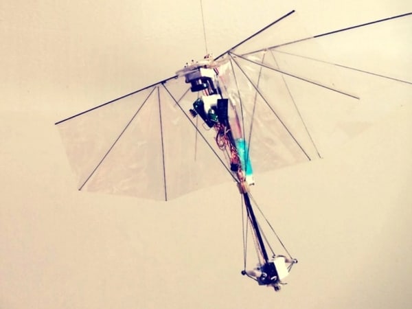 DelFly Nimble 8