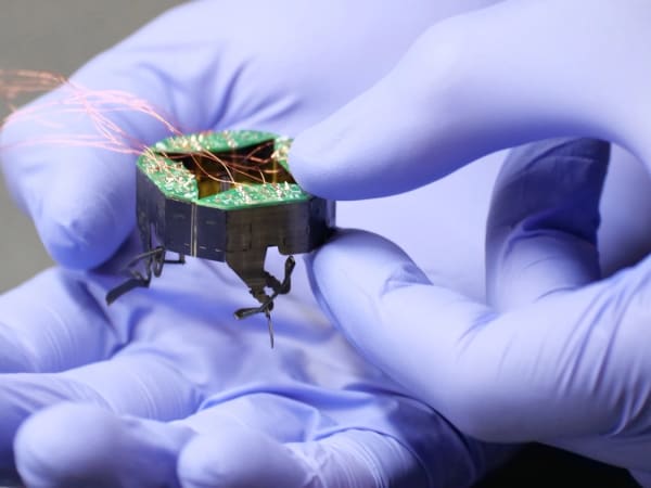 CLARI (Compliant Legged Articulated Robotic Insect) 1
