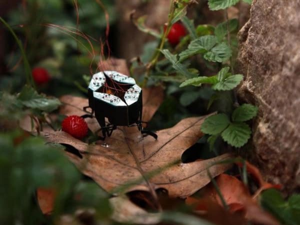 CLARI (Compliant Legged Articulated Robotic Insect) 2