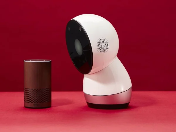 Jibo 2