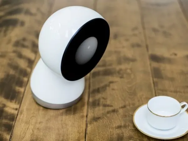Jibo 3