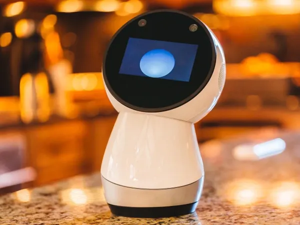 Jibo 4