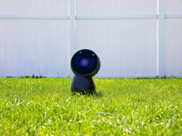 Jibo 5