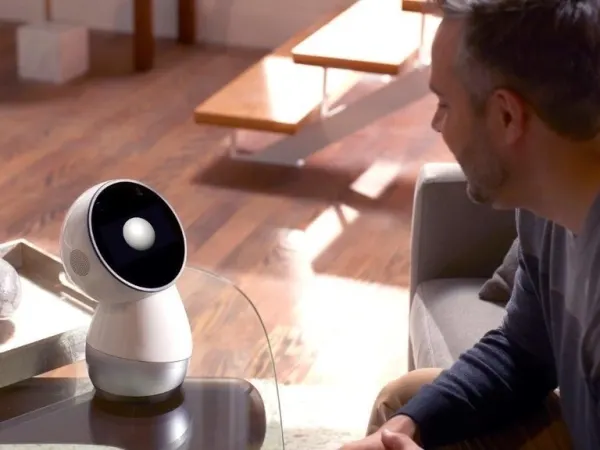 Jibo 6