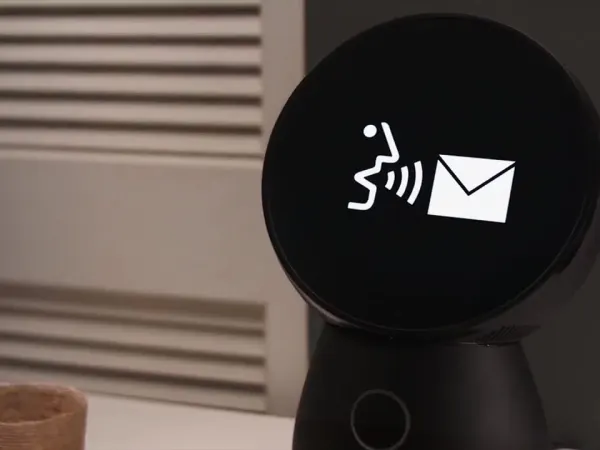 Jibo 7