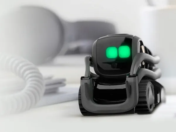 Vector 1