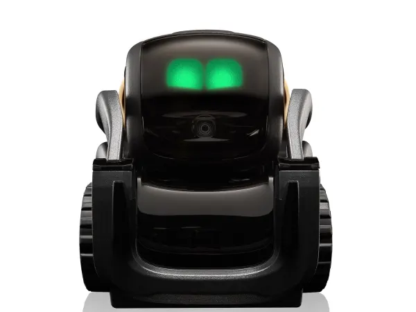 Vector 3