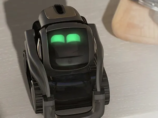 Vector 4