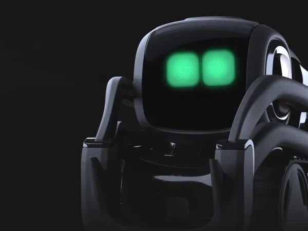 Vector 6