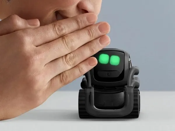 Vector 8