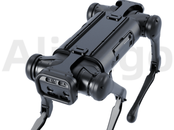Aliengo 4