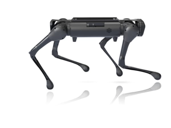 Aliengo 5