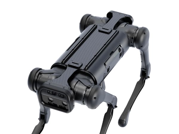 Aliengo 6
