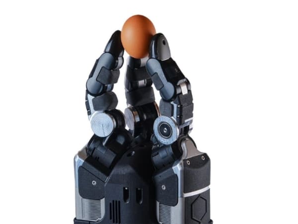 DEX-EE Dexterous Hand 8