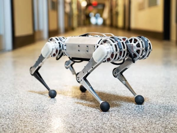 Mini Cheetah 1