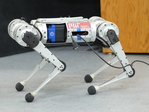 Mini Cheetah 2