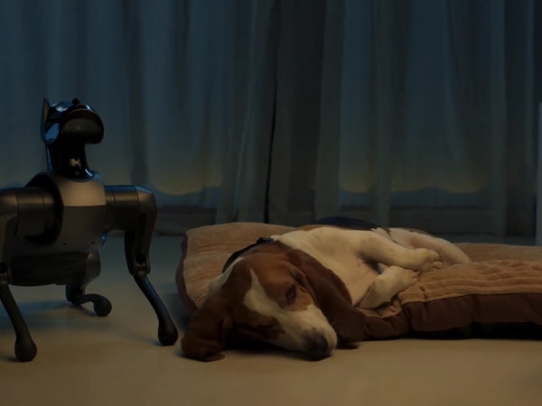 Xiaomi CyberDog 2 7