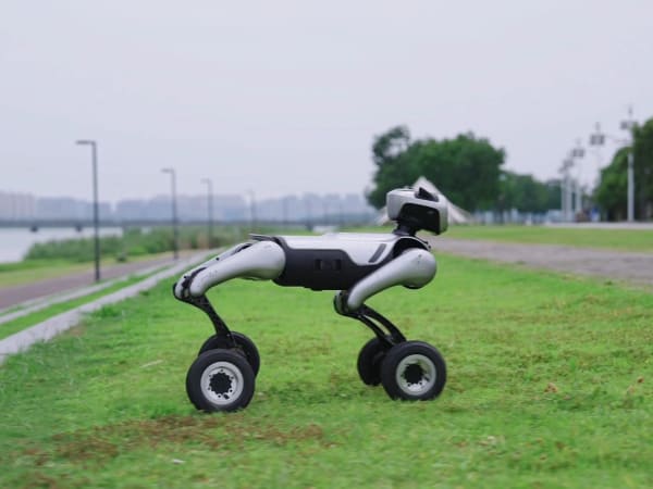 MagicDog-W 1