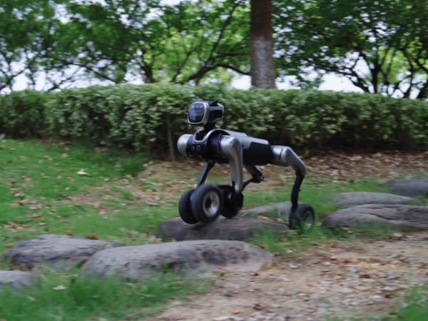 MagicDog-W 8