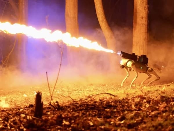 Thermonator 5