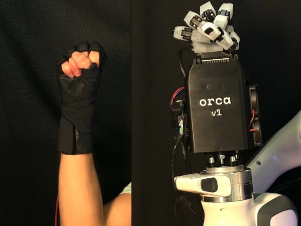 ORCA Hand 4