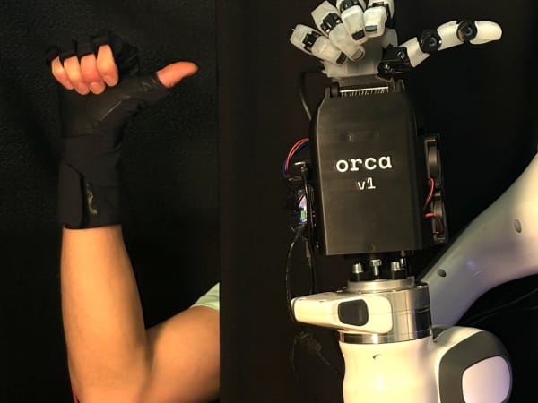 ORCA Hand 5