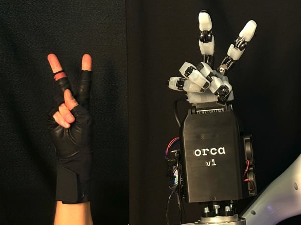 ORCA Hand 6