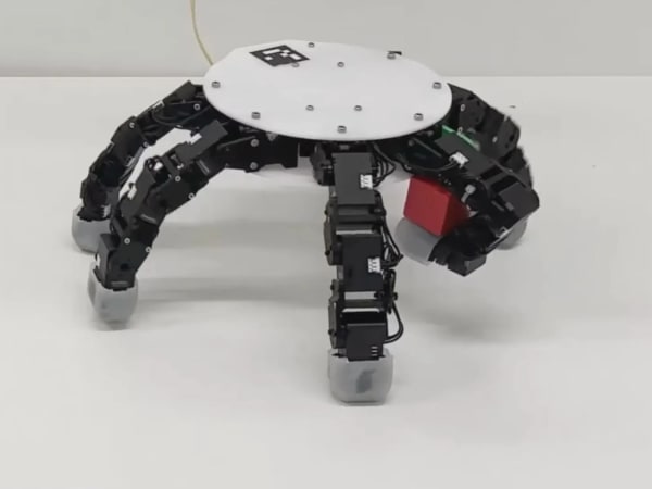 Bimodal Crawling Hand 7