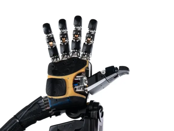 Phoenix Hand 1