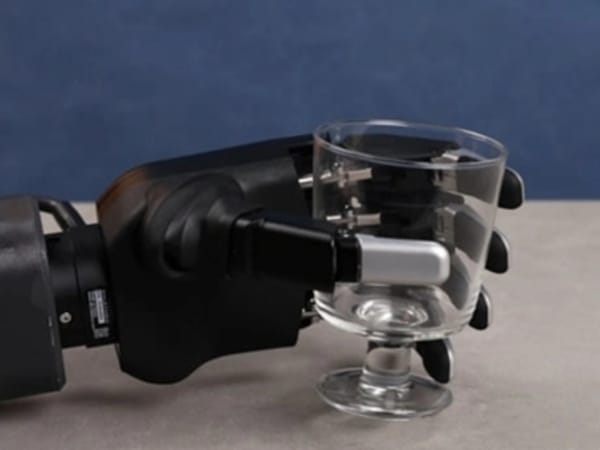 DH-5-6 Dexterous Hand 2